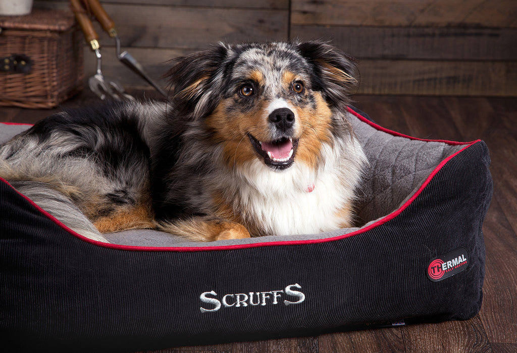 Scruffs Thermal Box Bed -  Zwart, Maat: Small - 50 x 40 cm - Hondenbuggyspecialist.nl