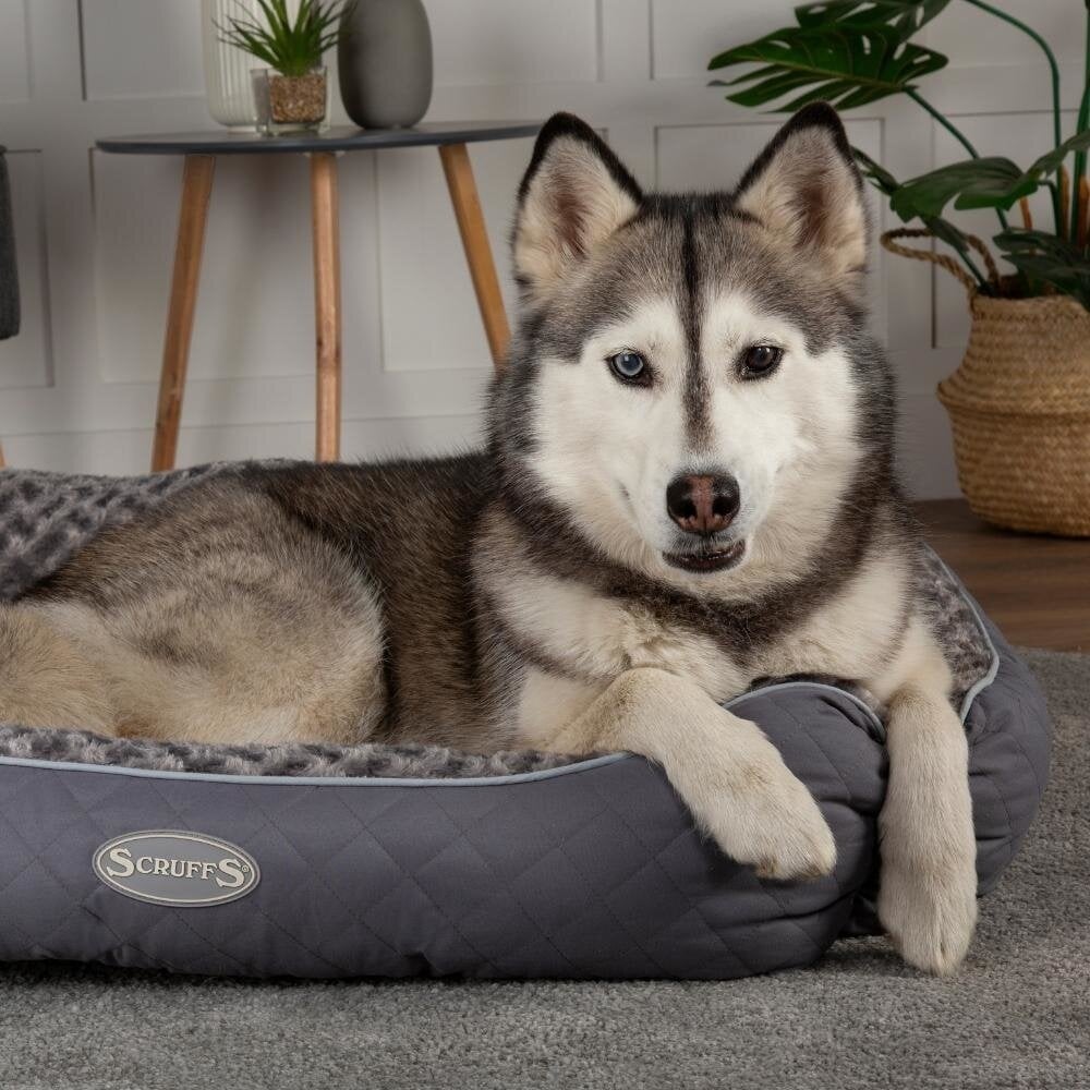 Scruffs Wilton Box Bed - Grijs Large - 75 x 60 cm - Hondenbuggyspecialist.nl