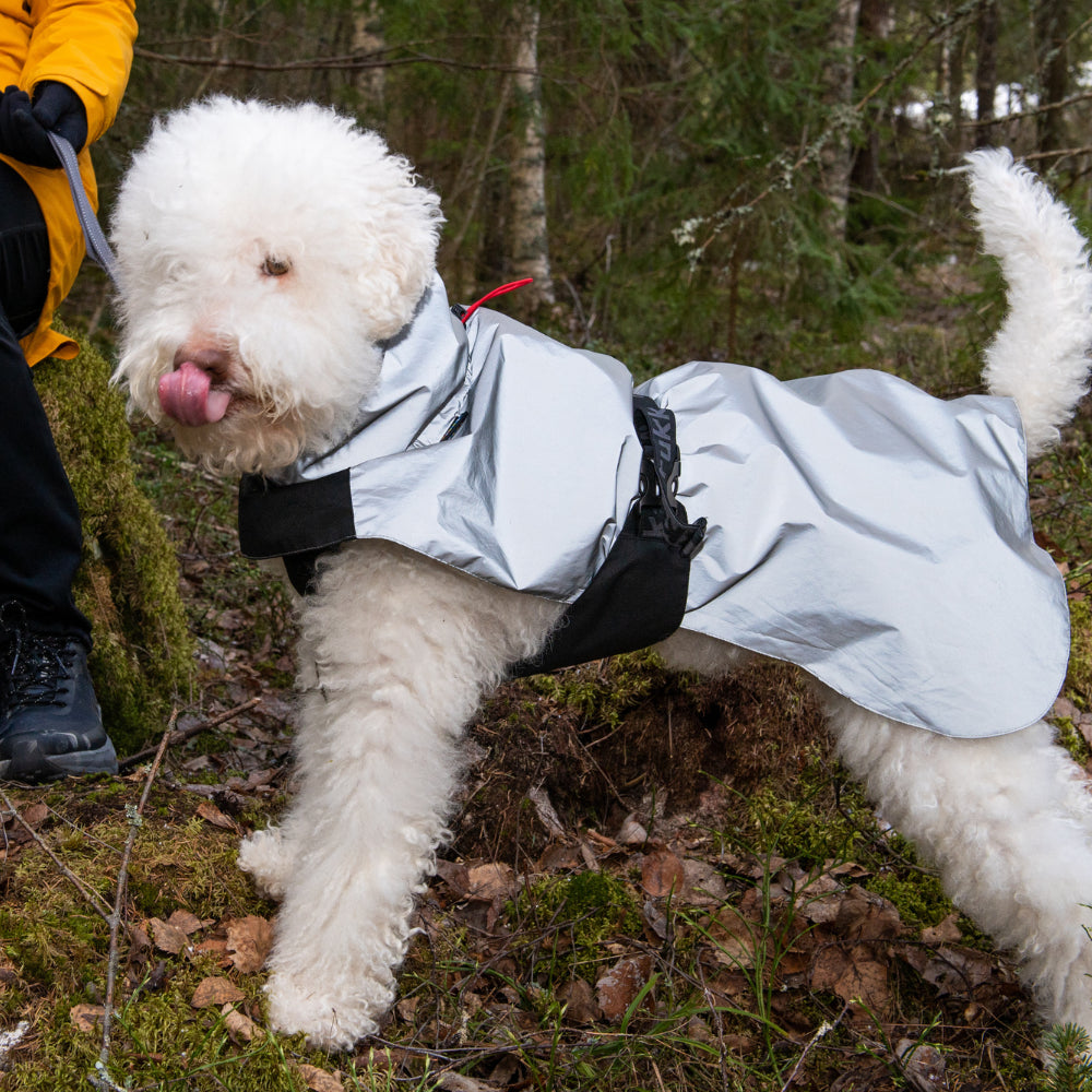 Shine Raincoat - Hondenbuggyspecialist.nl