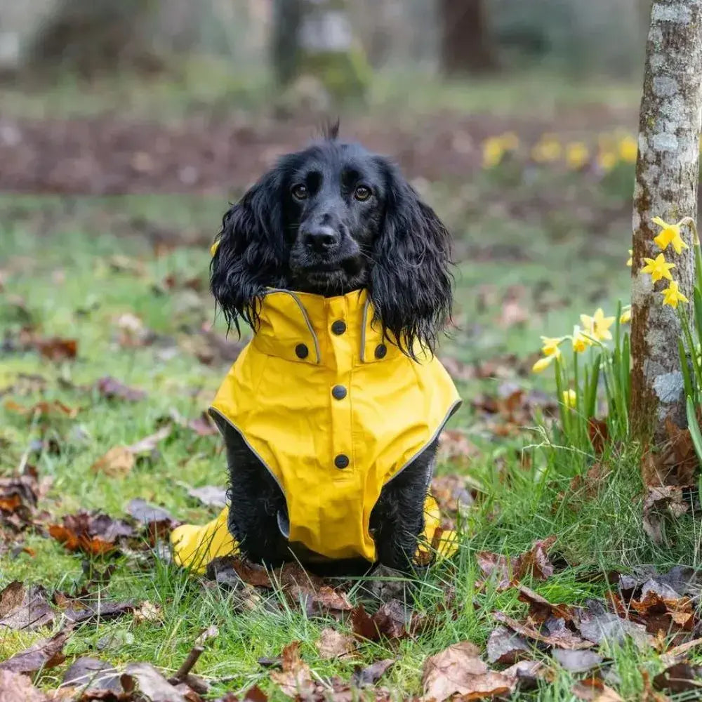 Stream Raincoat Maat 65 - Hondenbuggyspecialist.nl