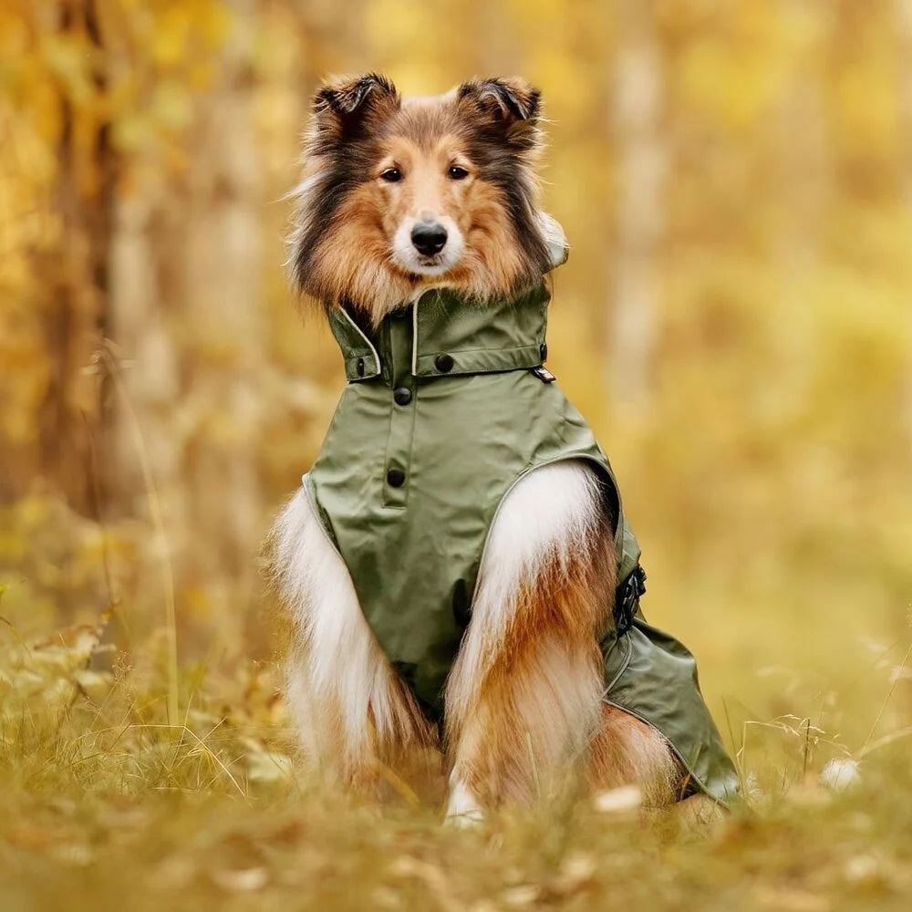 Streamy ECO Raincoat - Hondenbuggyspecialist.nl