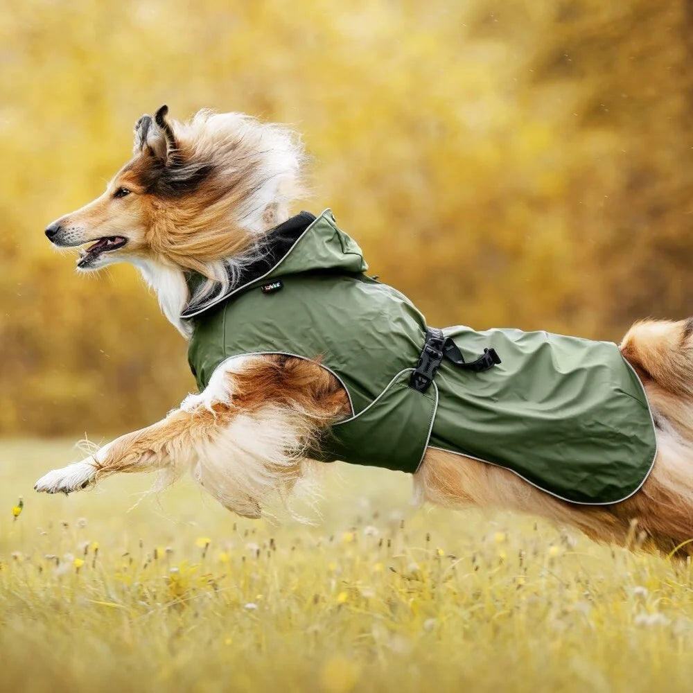 Streamy ECO Raincoat - Hondenbuggyspecialist.nl