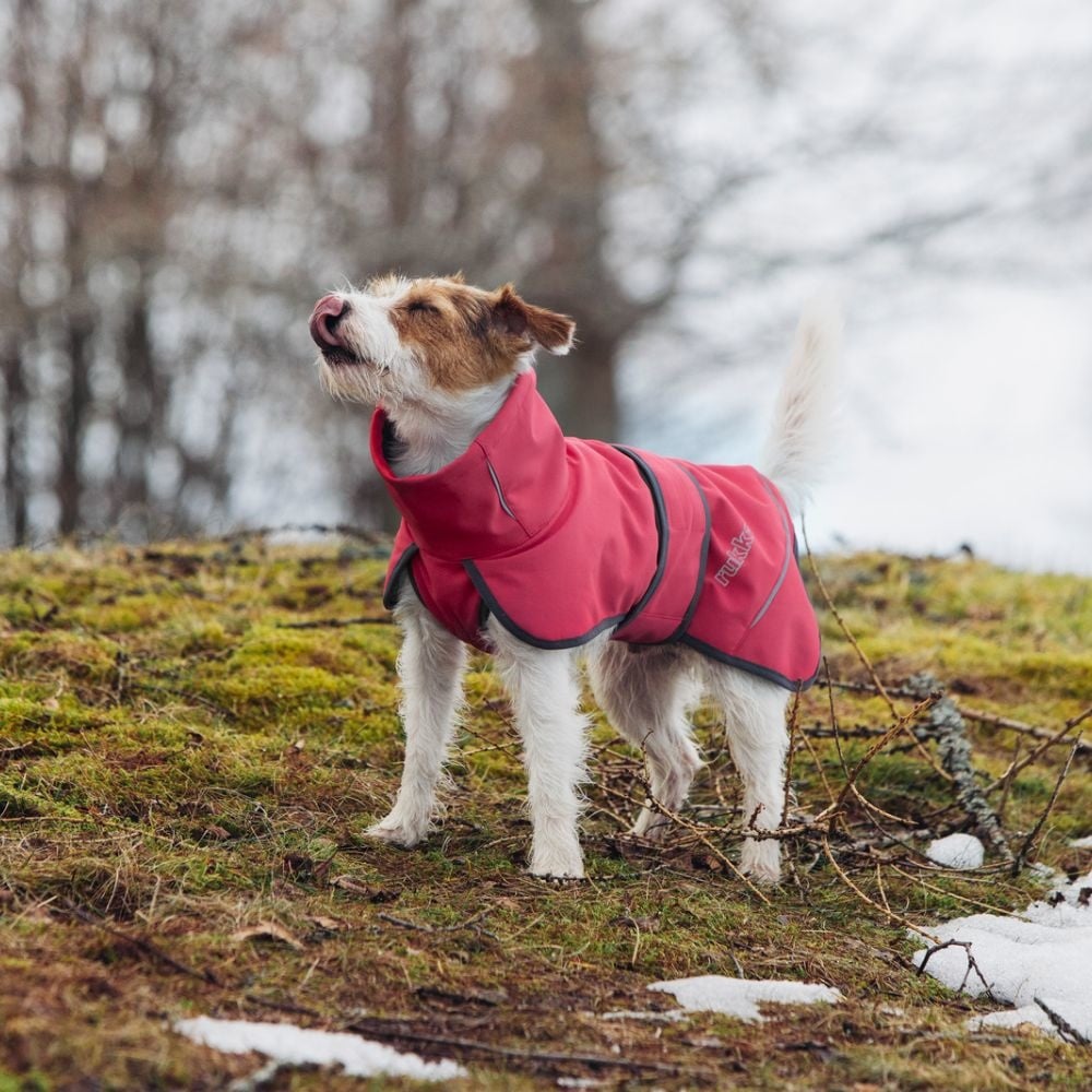 Windy Thermal Jacket Rood, Maat 55 - Hondenbuggyspecialist.nl