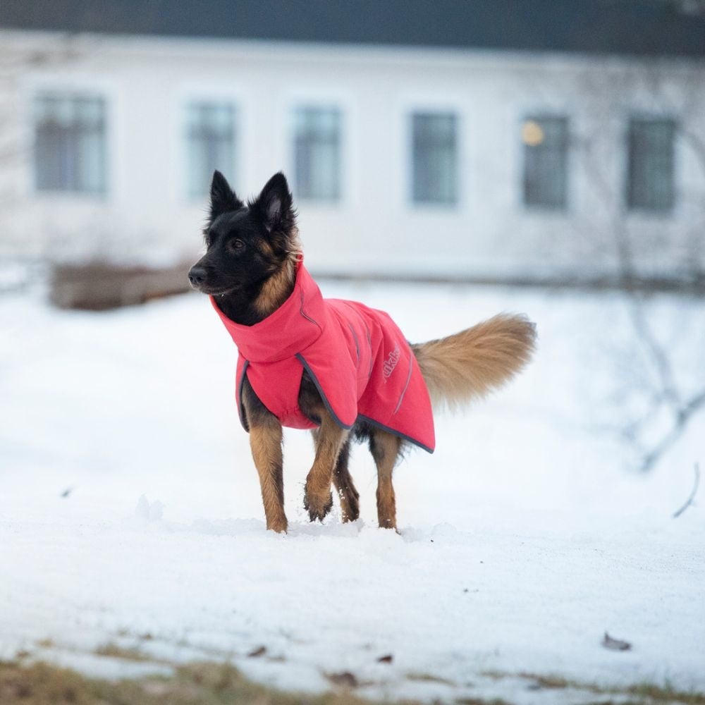 Windy Thermal Jacket Rood, Maat 55 - Hondenbuggyspecialist.nl