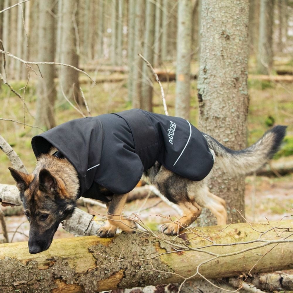 Windy Thermal Jacket Zwart, Maat 45 - Hondenbuggyspecialist.nl